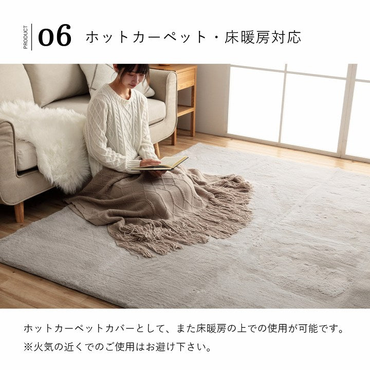 ラグマット ホットカーペット対応 ラピアス 約4畳 200×300cm 長方形 フェイクファー 洗える 抗菌防臭 床暖房対応 滑り止め付き 韓国 海外 大人かわいい 可愛い 秋冬用 ふわふわ ダスティ くすみカラー【メーカー直送商品】