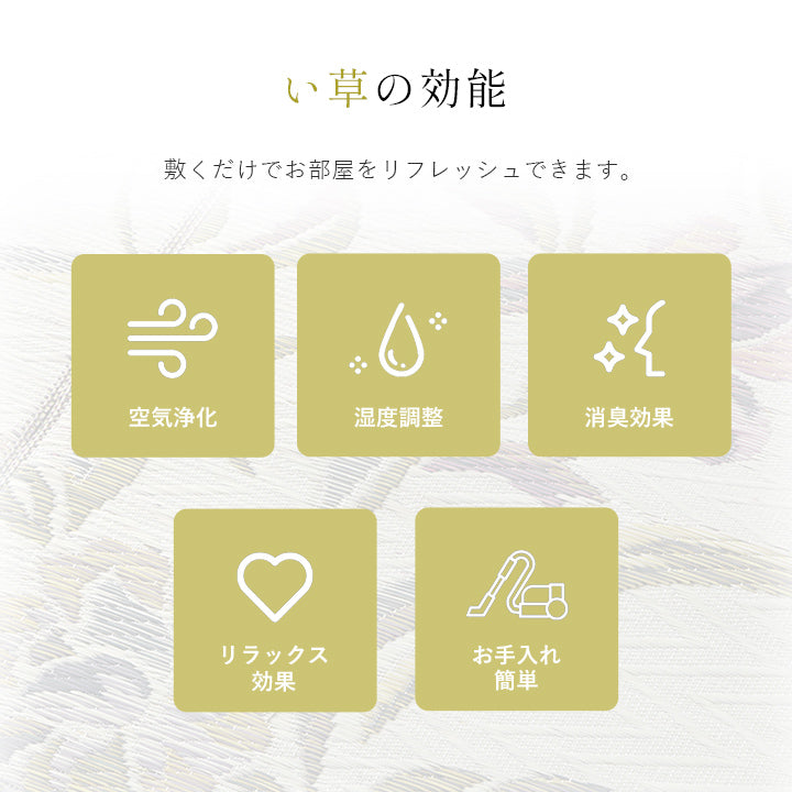 い草 畳 自然素材 カーペット ラグ インテリア 夏用 節電 無地 涼しい エレガンス柄 和モダン柄 アジア系柄 花 立体感 江戸間3畳 約174×261cm DXエクセレント 【メーカー直送商品】