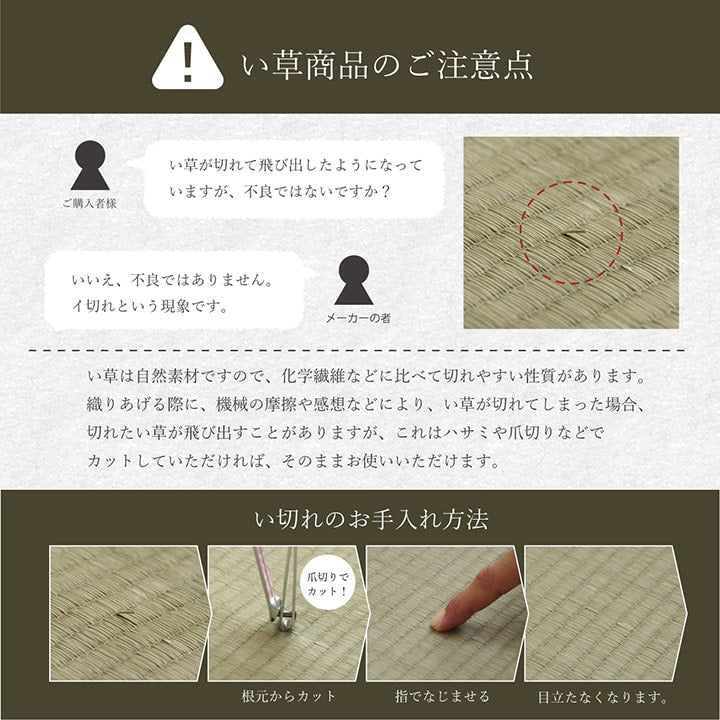 い草 くつろぐ ソファにおすすめ クッション 枕 ソファクッション さらさら シンプル 消臭 約20×50×45cm 【メーカー直送商品】☆