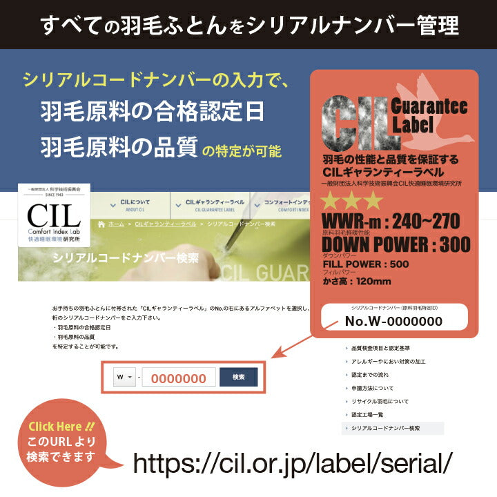 羽毛肌掛け WDD85% DP320 シングル 日本製 0.3kg ナチュレリエル 肌掛布団 S 防菌 防臭 リネン 麻生地 アレルギー【メーカー直送品】