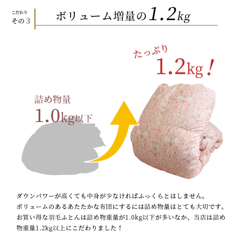 新生活応援 西川羽毛布団90%+敷布団セット+枕+カバー 6点セット