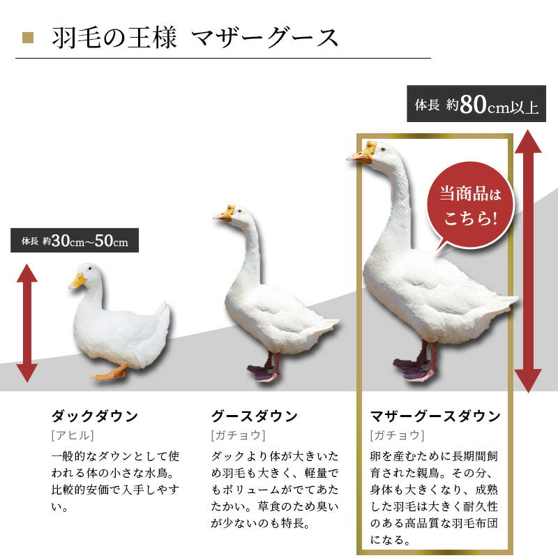 西川 マザーグース93％ ハンガリー産 羽毛布団 高品質 ダウンパワー430DP以上 詰め量1.1kg