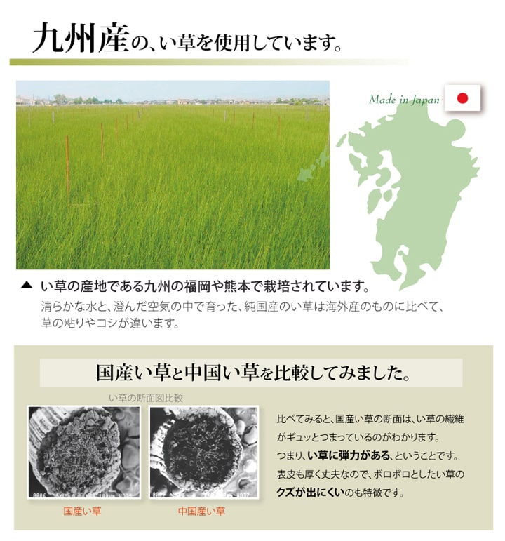 純国産 い草 上敷き カーペット 双目織 『草津』 江戸間6畳(約261×352cm） 【メーカー直送商品】☆