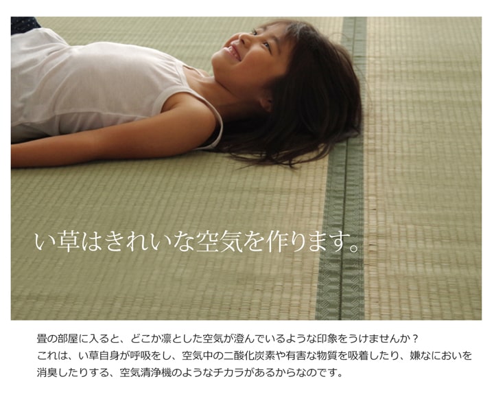 純国産 い草 上敷き カーペット 双目織 『松』 江戸間1畳（約88×176cm）【メーカー直送商品】