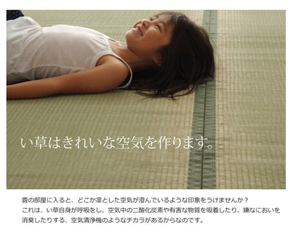 純国産 い草 上敷き カーペット 双目織 『松』 江戸間1畳（約88×176cm）【メーカー直送商品】