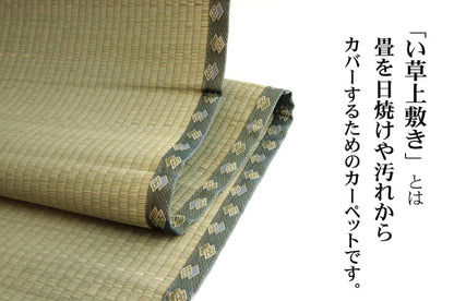 純国産 い草 上敷き カーペット 双目織 『松』江戸間10畳（約440×352cm）【メーカー直送商品】