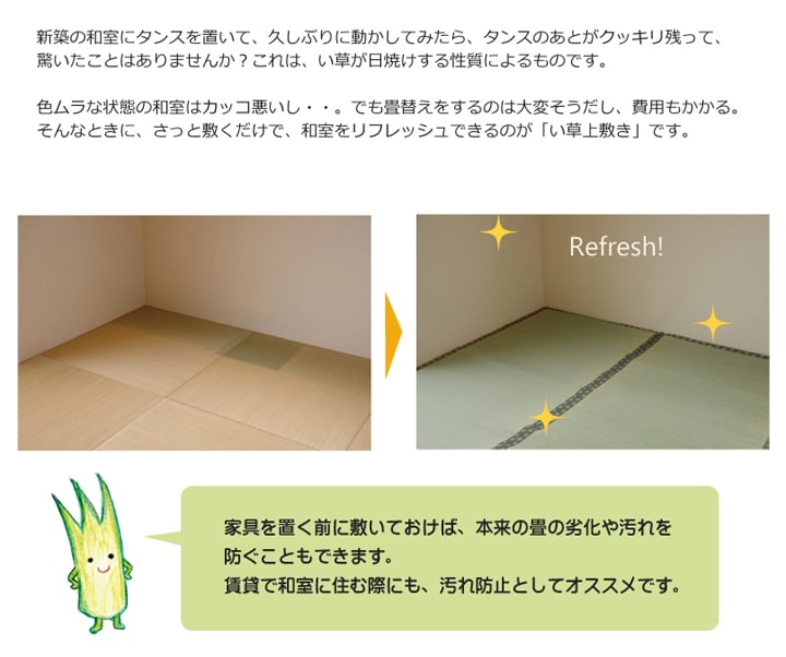 純国産 い草 上敷き カーペット 双目織 『松』江戸間10畳（約440×352cm）【メーカー直送商品】