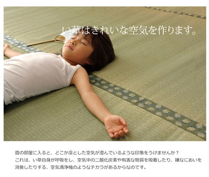 純国産 い草 上敷き カーペット 双目織 『松』江戸間10畳（約440×352cm）【メーカー直送商品】