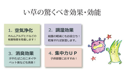 純国産 い草 上敷き カーペット 双目織 『松』 六一間8畳(約370×370cm） 【メーカー直送商品】☆