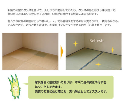 純国産 い草 上敷き カーペット 双目織『ほほえみ』【メーカー直送商品】