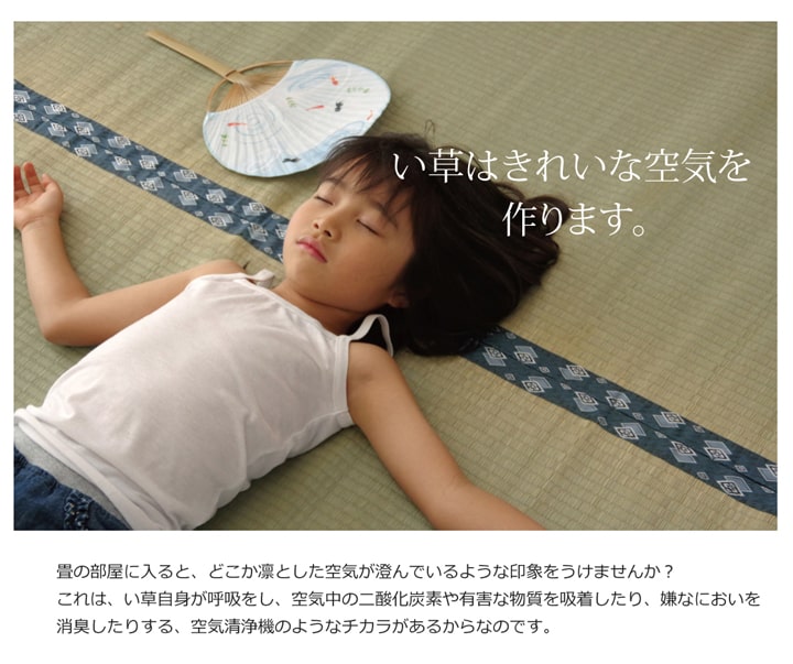 純国産 い草 上敷き カーペット 双目織『ほほえみ』【メーカー直送商品】