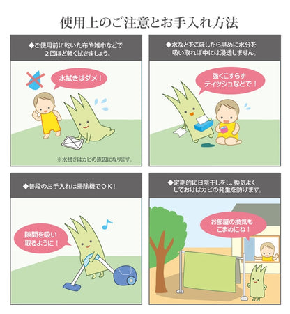 純国産 い草 上敷き カーペット 糸引織『湯沢』【メーカー直送商品】