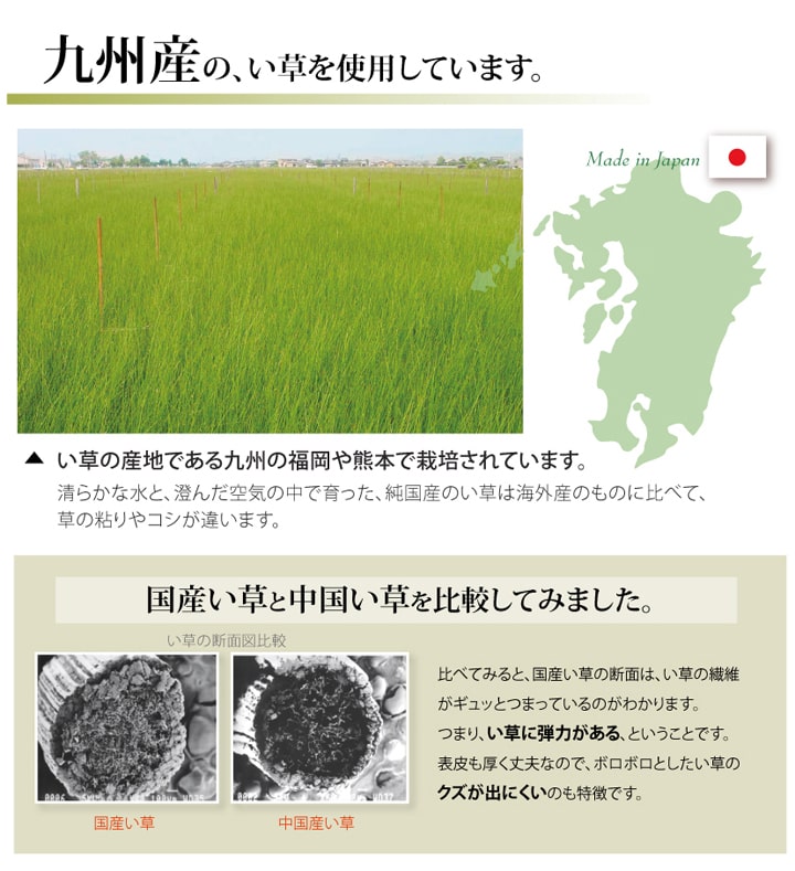 純国産 い草 上敷き カーペット 糸引織『湯沢』【メーカー直送商品】