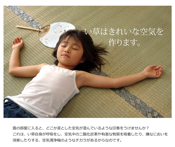 純国産 い草 上敷き カーペット 糸引織『湯沢』【メーカー直送商品】
