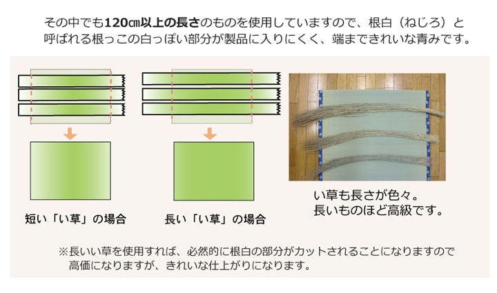 純国産 い草 上敷き カーペット 糸引織 『梅花』 江戸間4.5畳(約261×261cm） 【メーカー直送商品】☆