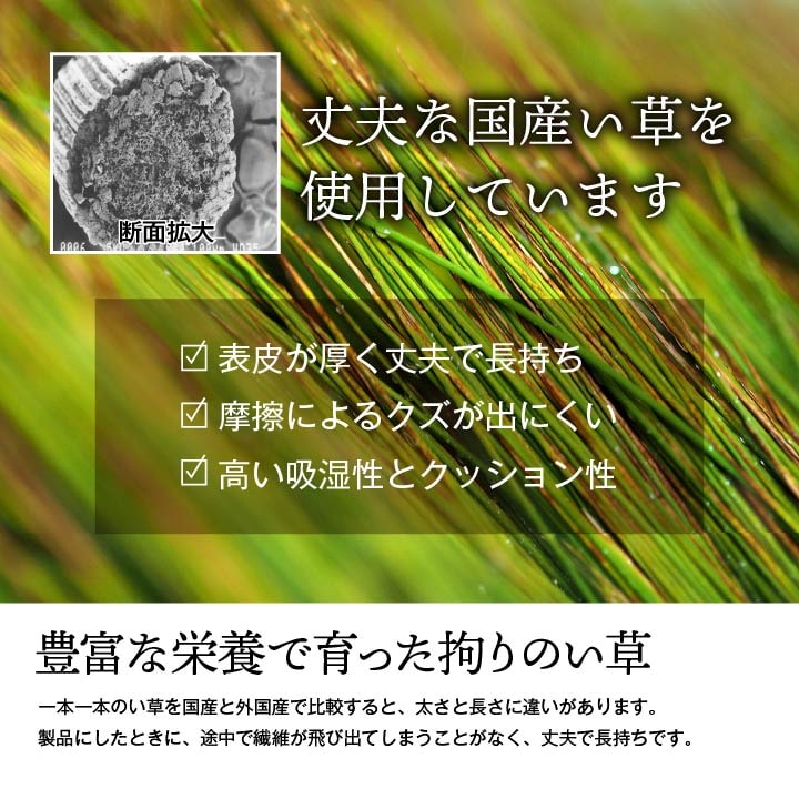 純国産 い草 上敷き 上質ない草で作った カーペット 双目織 江戸間4.5畳(約261×261cm） 【メーカー直送商品】☆