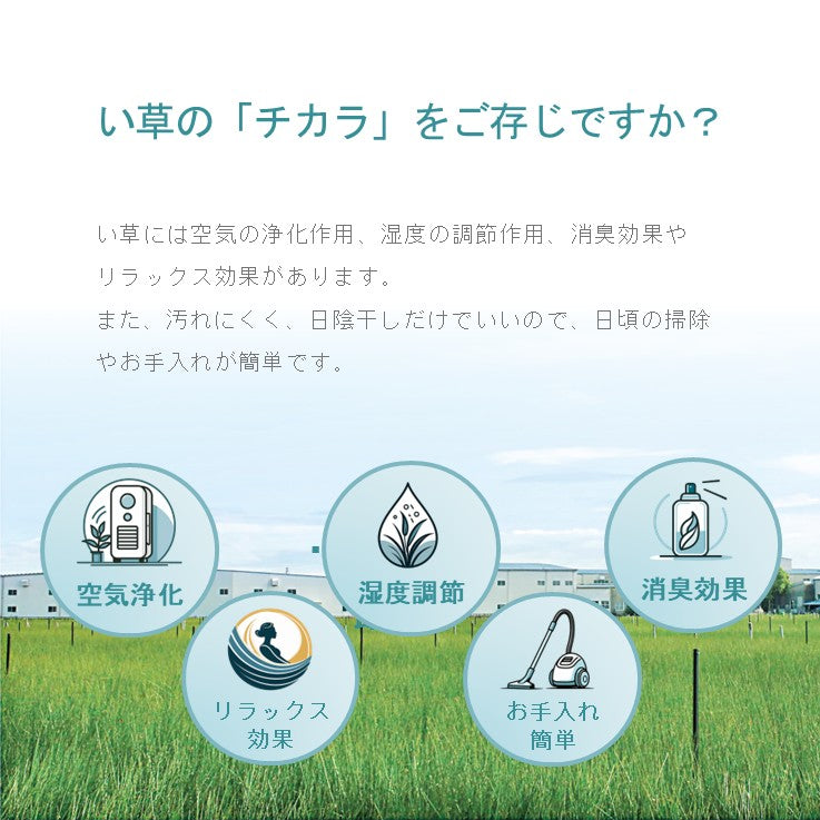 敷物 ラグ (い草) SPFXアルバ BE【メーカー直送商品】