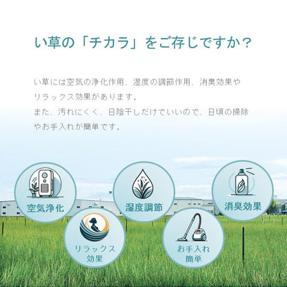敷物 ラグ (い草) SPFXアルバ BE【メーカー直送商品】