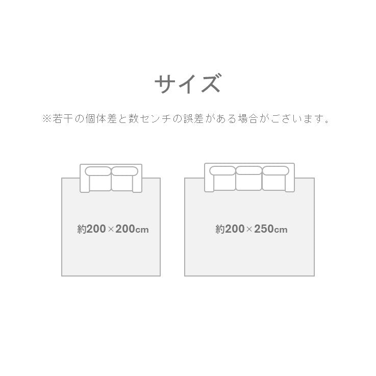 敷物 ラグ (い草) SPFXアルバ BE【メーカー直送商品】
