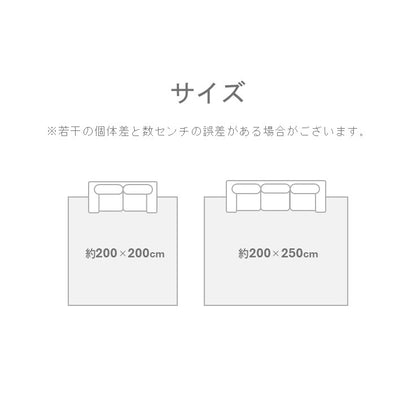 敷物 ラグ (い草) SPFXアルバ BE【メーカー直送商品】