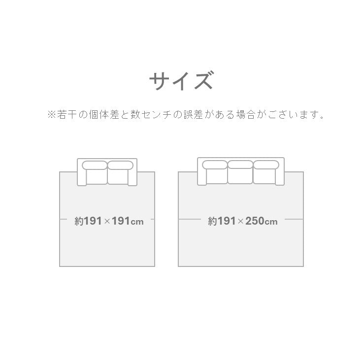 い草 ラグ 手混ぜ織 『ＦＸしきさい』【メーカー直送商品】