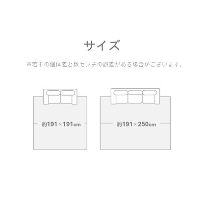 い草 ラグ 手混ぜ織 『ＦＸしきさい』【メーカー直送商品】