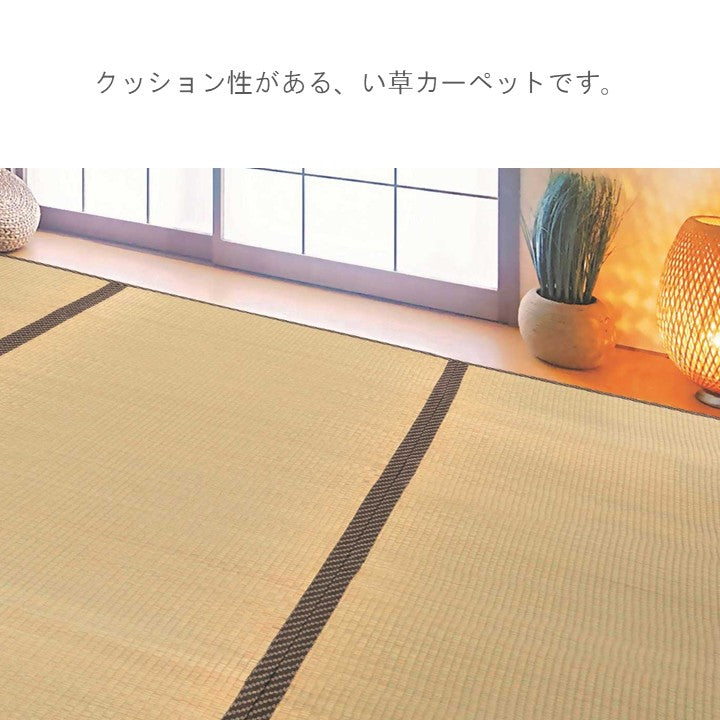 敷物 帖物(い草) ふっくら上敷 雅【メーカー直送商品】