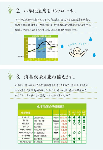 い草ラグ カーペット ラグ 6畳 はっ水 『撥水ラスター』 約240×320cm (中:ウレタン8mm） 【メーカー直送商品】☆