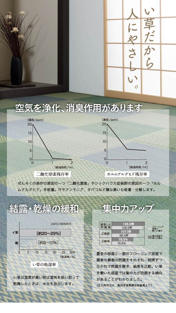 い草ラグ 花ござ カーペット ラグ 6畳 格子柄 市松柄 『ピーア』 本間6畳 (約286×382cm） 【メーカー直送商品】☆