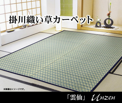 掛川織 い草カーペット 『雲仙』 江戸間6畳(約261×352cm) 【メーカー直送商品】☆