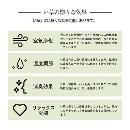 い草ラグ 花ござ カーペット 格子柄 ナチュラル シンプル 和室 抗菌防臭 消臭 お手入れ簡単 夏快適さらさら 江戸間6畳 (約261×352cm） 【メーカー直送商品】☆