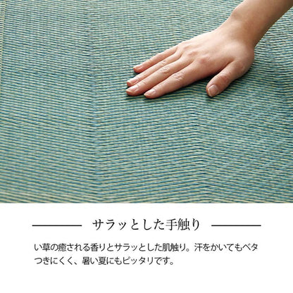 い草ラグ 花ござ カーペット 格子柄 ナチュラル シンプル 和室 抗菌防臭 消臭 お手入れ簡単 夏快適さらさら 江戸間6畳 (約261×352cm） 【メーカー直送商品】☆