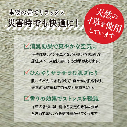防災 段ボール 約100×200cm【メーカー直送商品】