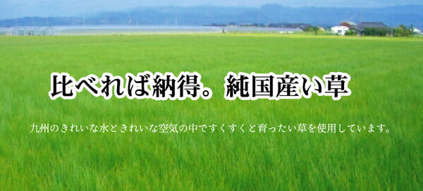 純国産 袋織い草カーペット 『なでしこ』 江戸間4.5畳(約261×261cm） 【メーカー直送商品】☆