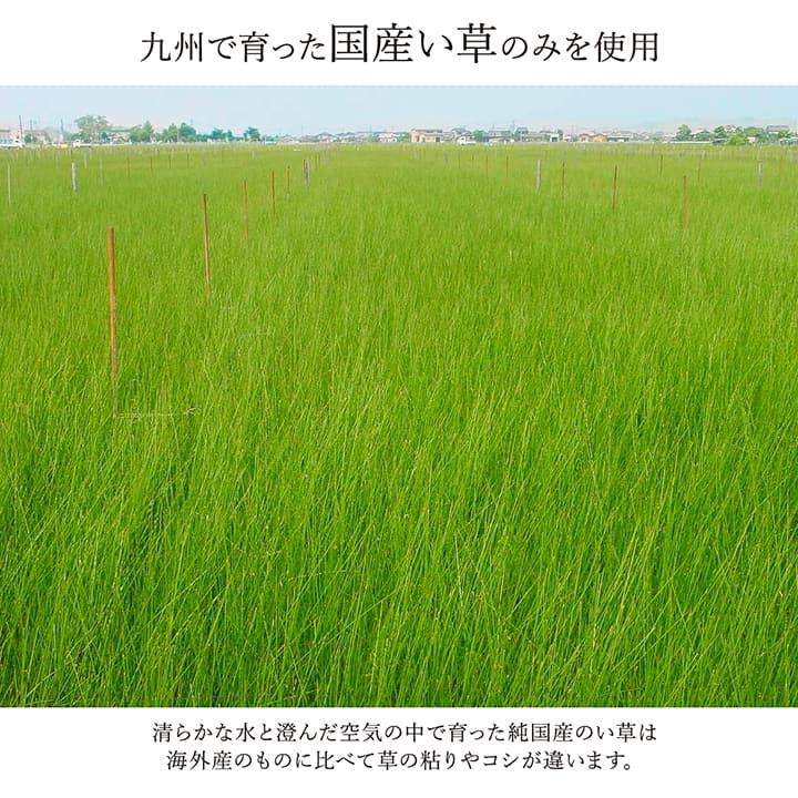 ラグ い草 国産 純国産 日本製 モダン 抗菌防臭 自然素材 パッチワーク 約191×300cm  【メーカー直送商品】☆