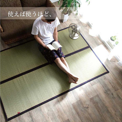 ラグ マット 長方形 い草 夏用 沖縄ビーグ 191×250cm  【メーカー直送商品】☆