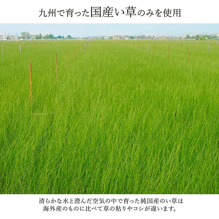 ラグ 国産 純国産 日本製 い草 モダン 抗菌防臭 自然素材 不織布 約140×200cm 【メーカー直送商品】☆