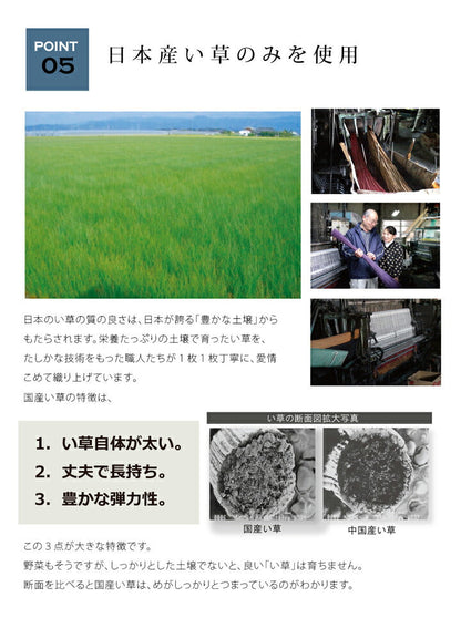 い草ラグ 国産 約2畳 正方形『Fジョイ』約191×191cm【メーカー直送商品】