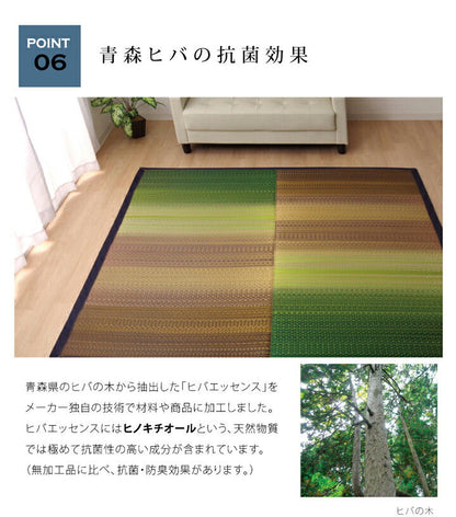 い草ラグ 国産 約3畳 長方形『Fジョイ』約191×250cm【メーカー直送商品】