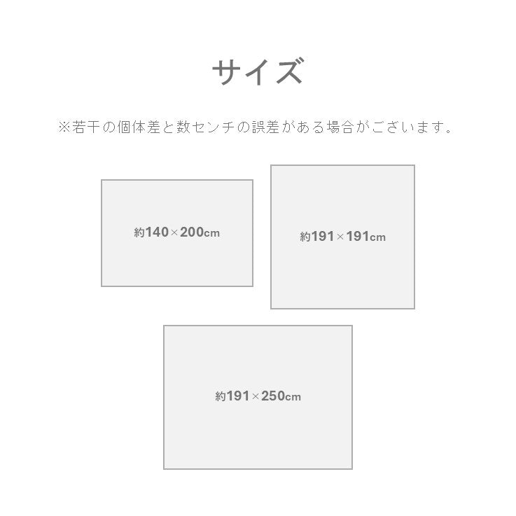 敷物 ラグ (い草) DXおうみ GN【メーカー直送商品】