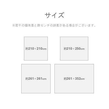 敷物 ラグ (い草) DXラテール BL【メーカー直送商品】
