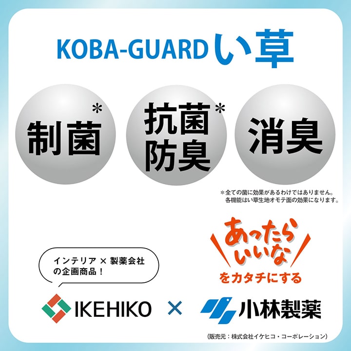 ラグ 小林製薬 持続性抗菌剤 KOBA-GUARD 制菌 抗菌防臭  滑り止め 不織布 夏 い草 グラデーション 約190×250cm 【メーカー直送商品】☆