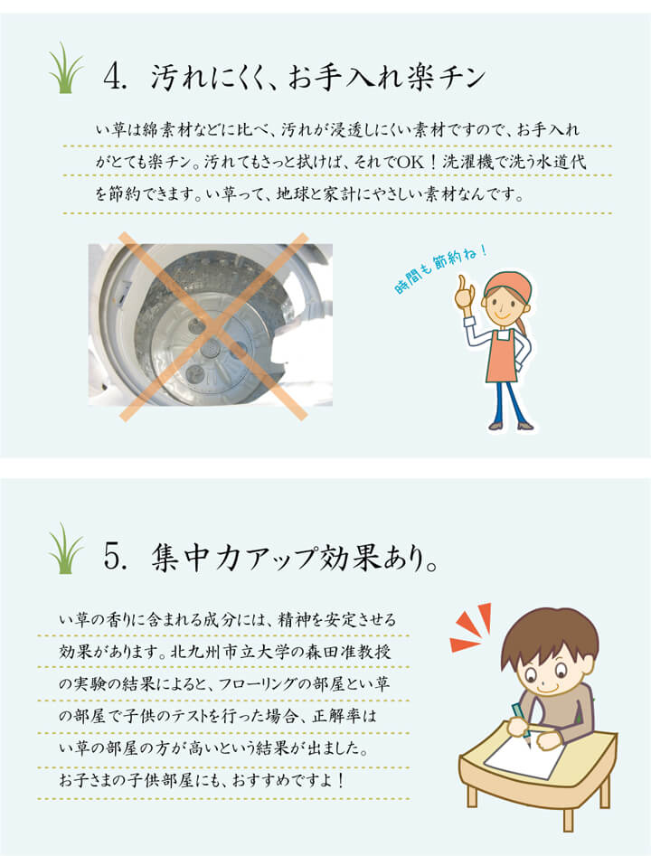 い草 カーペット『DXノース』約176×230cm 【メーカー直送商品】