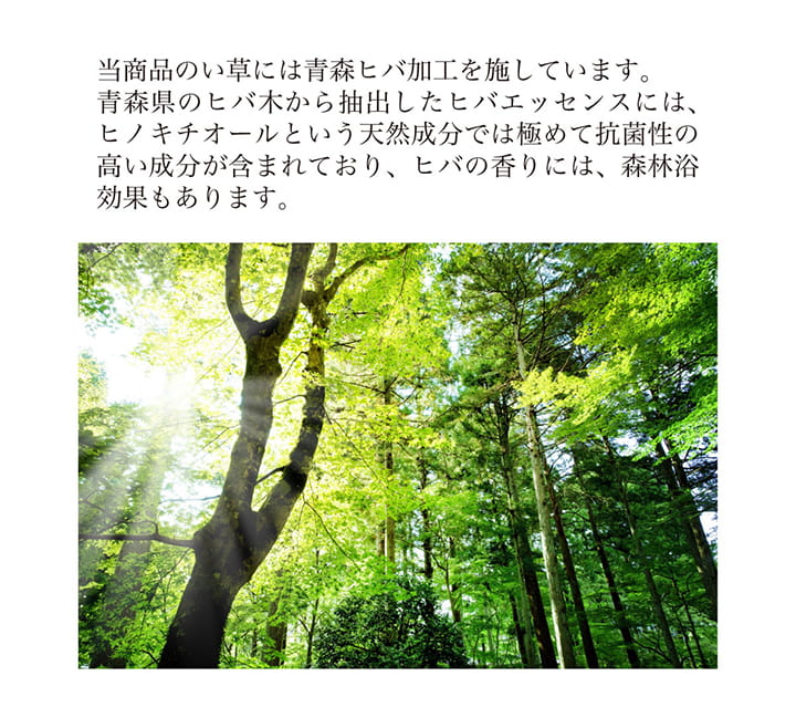 堀りごたつ用い草ラグ 堀こたつ 掘りごたつ 堀り 炬燵 い草 ラグ 敷 市松 くり抜き 付属 マジックテープ 連結  裏 不織布  裏 不織布 約191×300cm（中抜き:約90×150cm） 全3色 【メーカー直送商品】☆