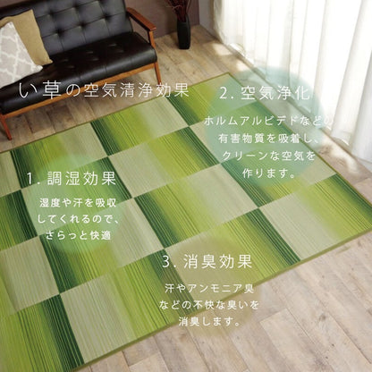 い草ラグ おしゃれ コンパクト シンプル カーペット  『DXモーセ』  約135×180cｍ 【メーカー直送商品】☆