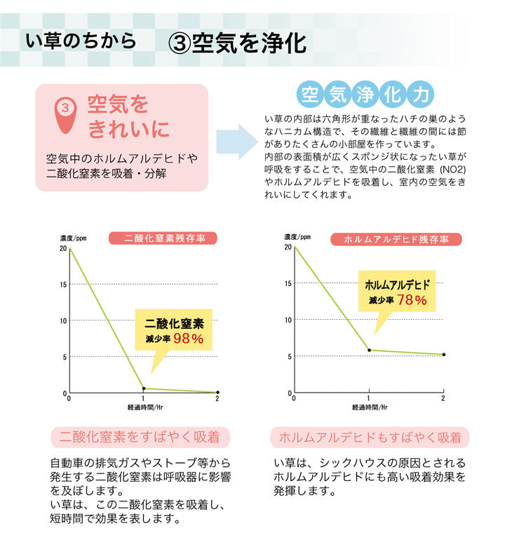 ラグ い草 撥水 滑り止め 不織布 格子柄 シンプル カジュアル 抗菌防臭 約190×300cm 【メーカー直送商品】☆