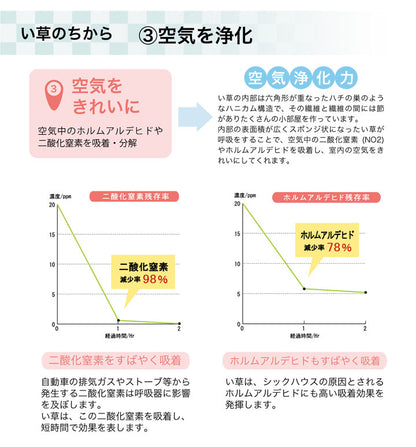 ラグ い草 撥水 滑り止め 不織布 格子柄 シンプル カジュアル 抗菌防臭 約190×300cm 【メーカー直送商品】☆