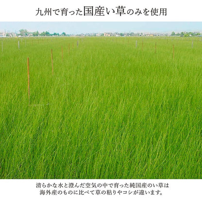 敷物 花ござ 国産 純国産 日本製 い草 モダン 抗菌防臭 自然素材 江戸間3畳 約174×261cm 【メーカー直送商品】☆