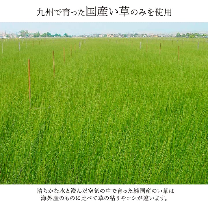 敷物 花ござ 国産 純国産 日本製 い草 モダン 抗菌防臭 自然素材 江戸間2畳 約174×174cm 【メーカー直送商品】☆