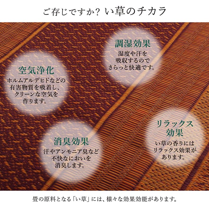 廊下 敷 敷き 国産 純国産 日本製 い草 抗菌防臭 モダン 自然素材 不織布 約80×240cm 【メーカー直送商品】☆